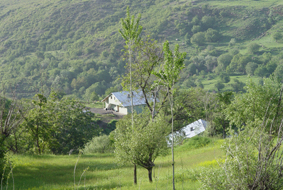 Image Image